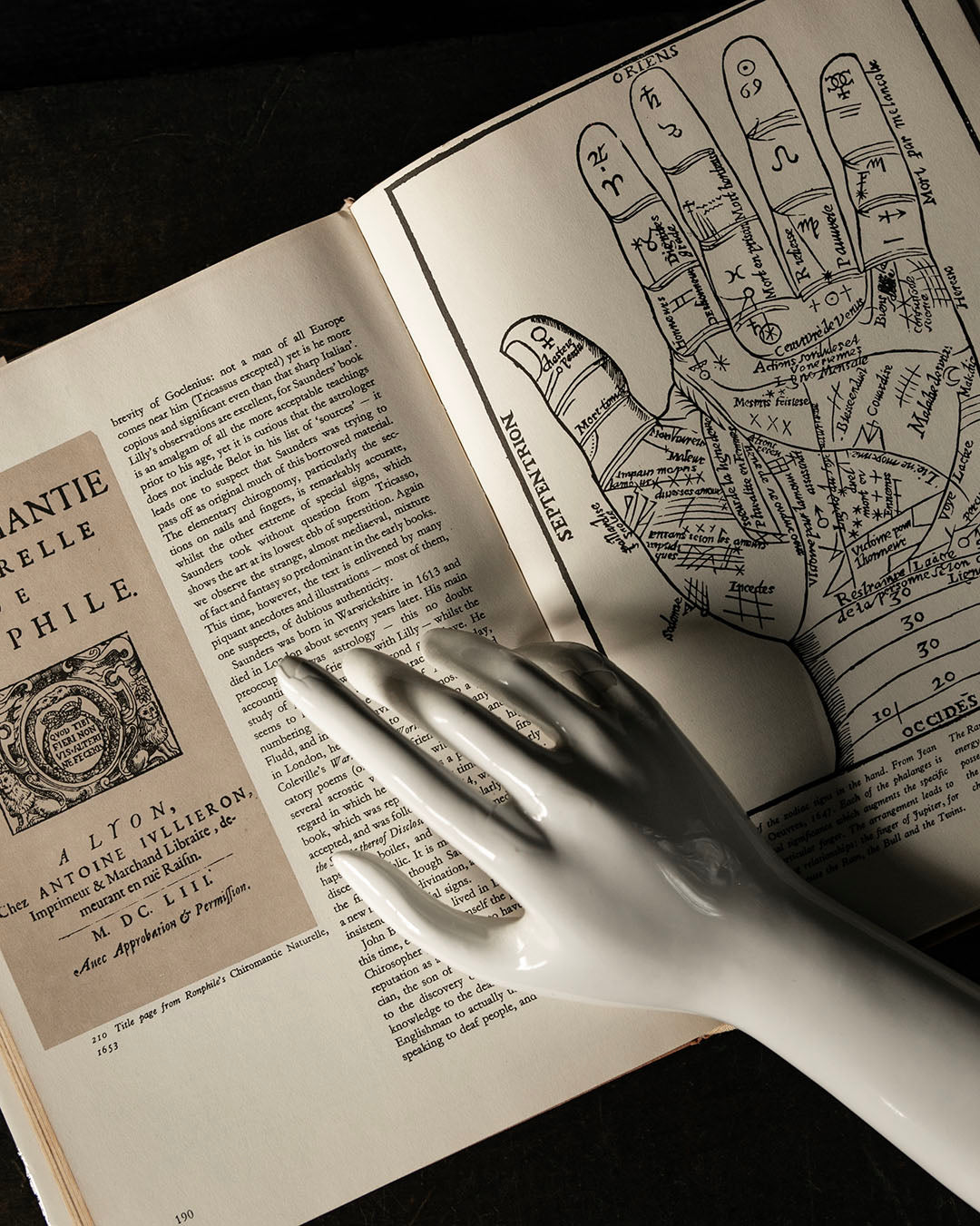The Book of the Hand