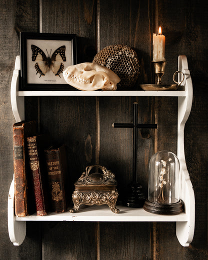 Curio Shelf