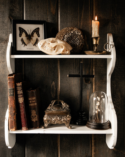 Curio Shelf