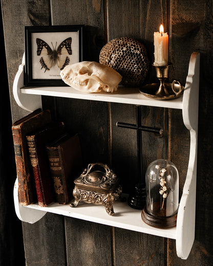 Curio Shelf