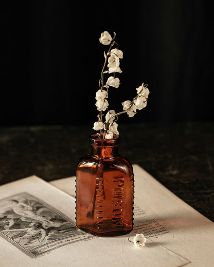 Antique Posion Bottle