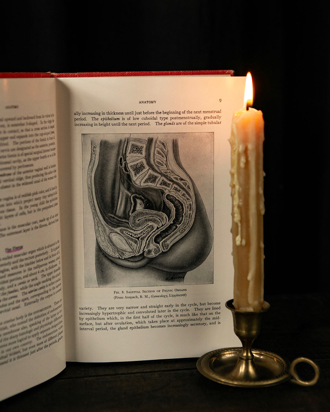 Vintage Textbook of Gynecology