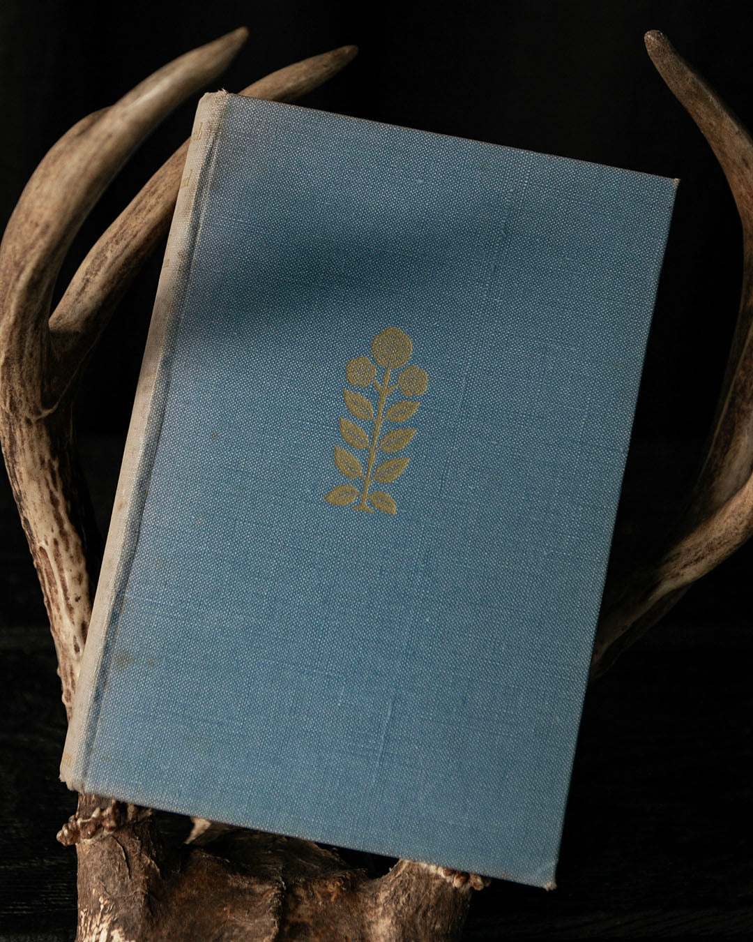 In Search of England Book
