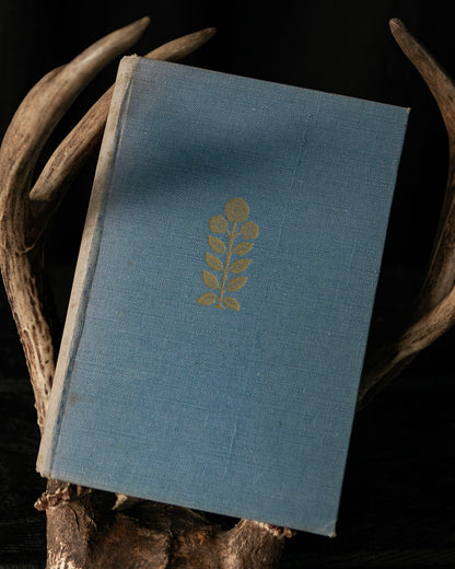 In Search of England Book