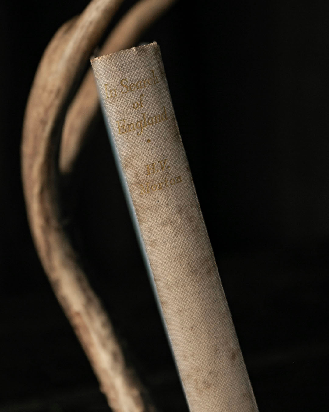 In Search of England Book