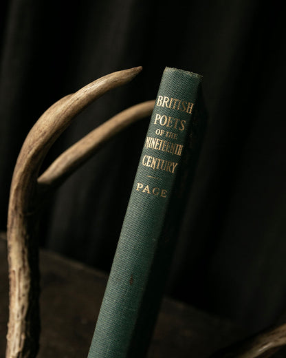British Poets of the 19th Century Book