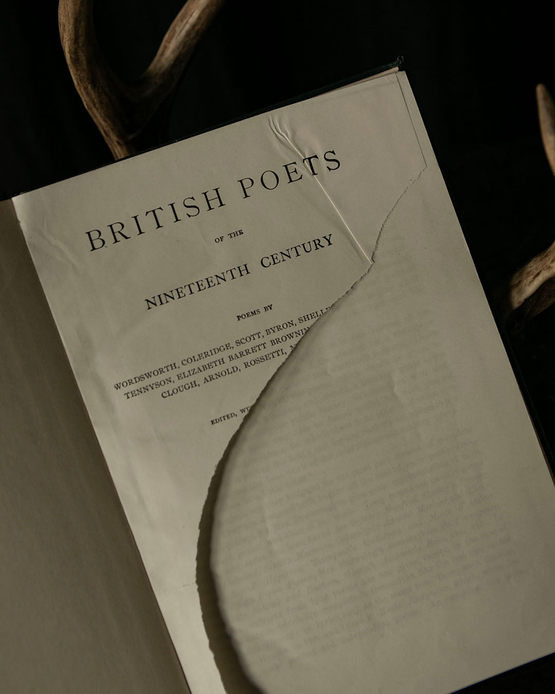 British Poets of the 19th Century Book