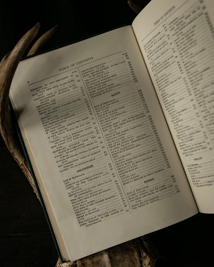 British Poets of the 19th Century Book