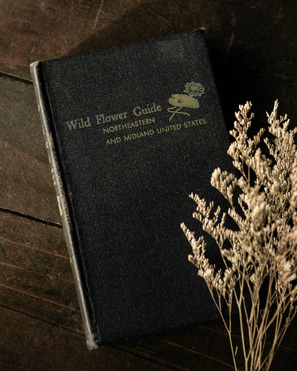 Wildflower Guide