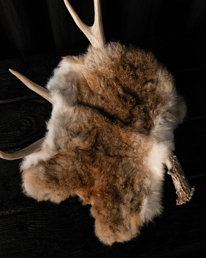 Vintage Rabbit Pelt