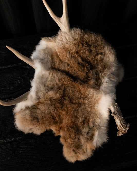 Vintage Rabbit Pelt