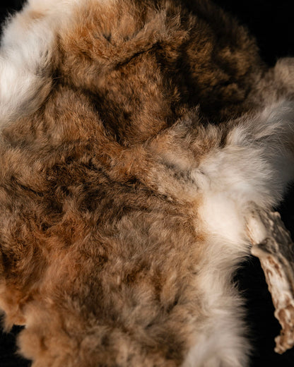 Vintage Rabbit Pelt