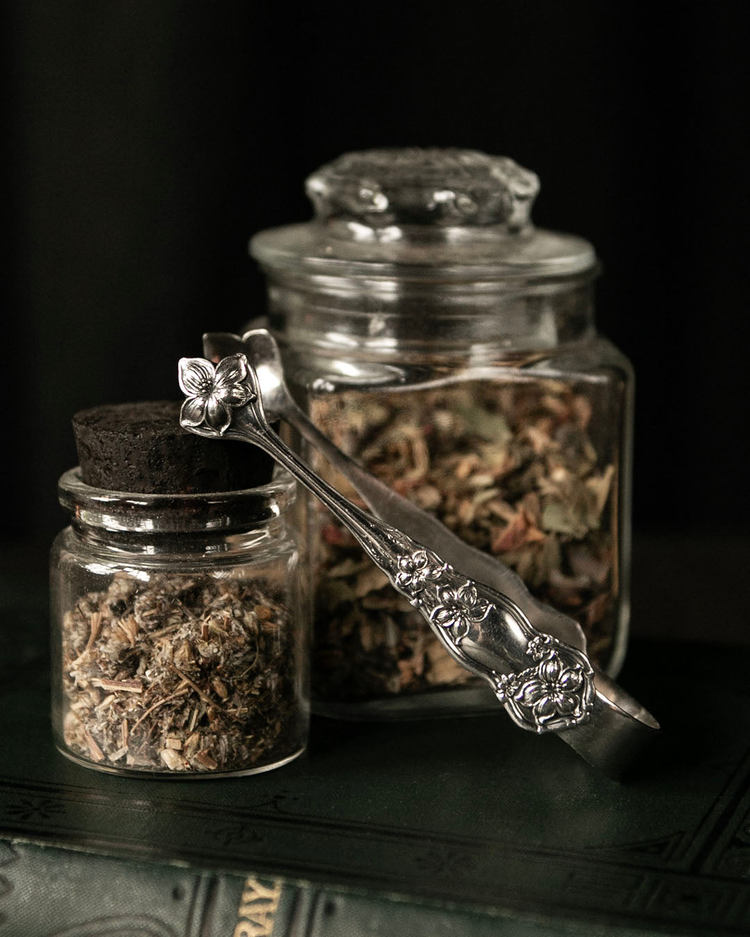 Silver Tongs