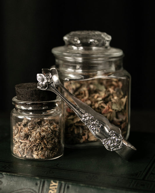 Silver Tongs