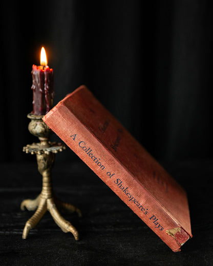 Shakespeare's Plays Book