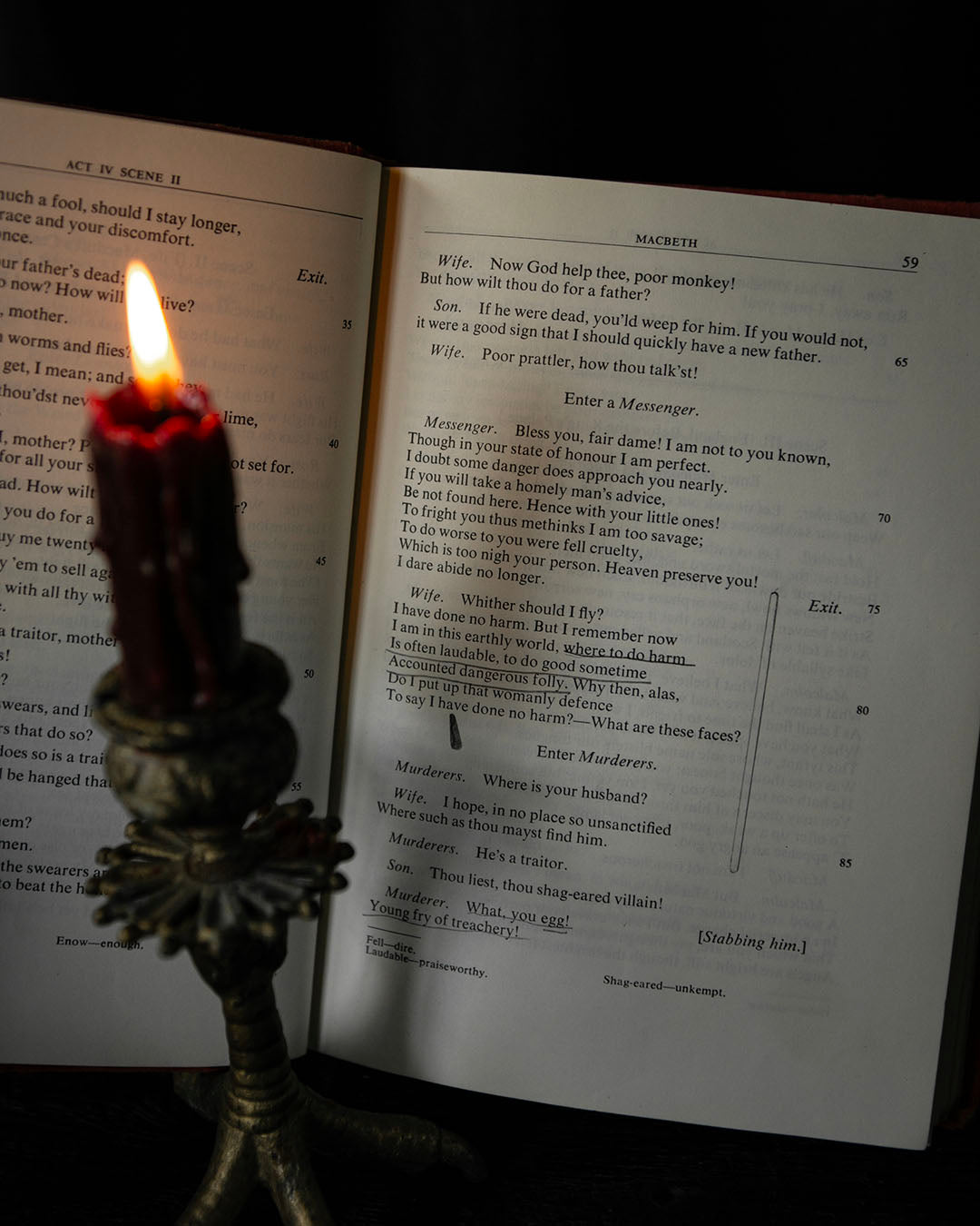 Shakespeare's Plays Book