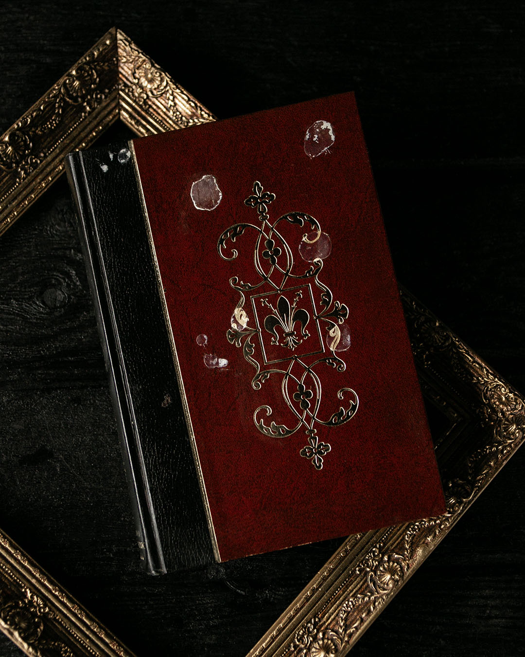Renaissance Book