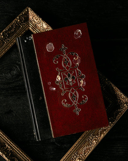Renaissance Book
