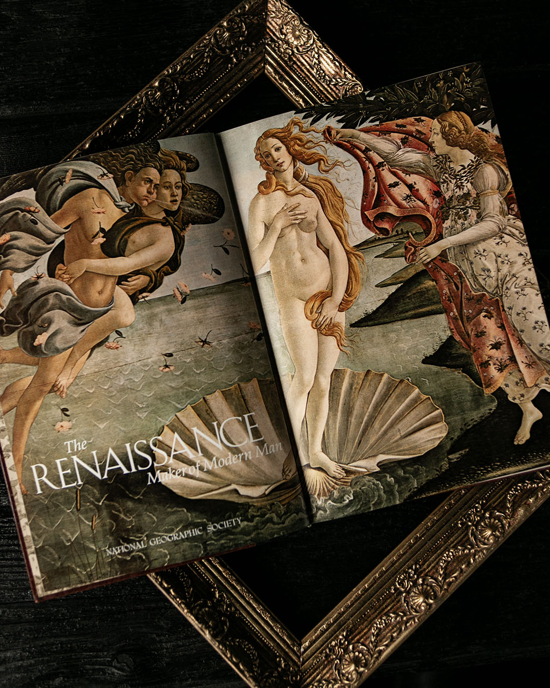 Renaissance Book