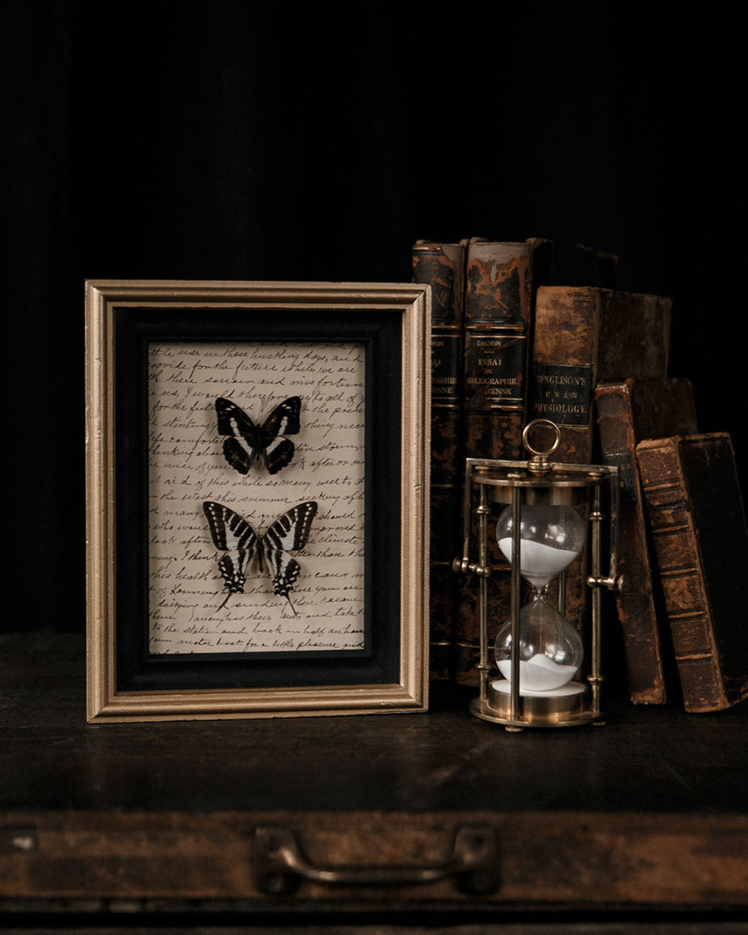 Framed Butterflies