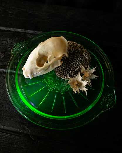 Uranium Glass Dish