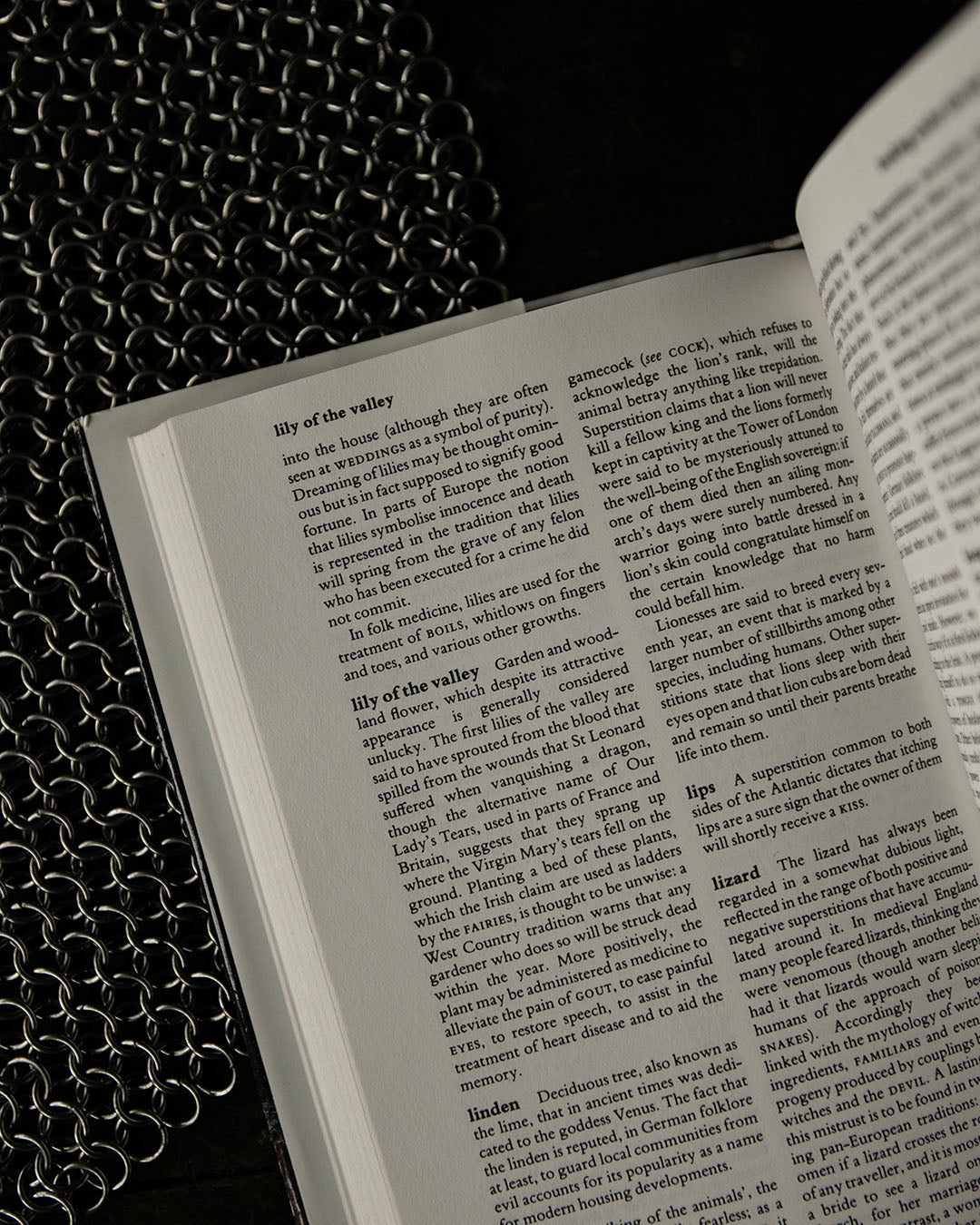 Dictionary of Superstitions Book