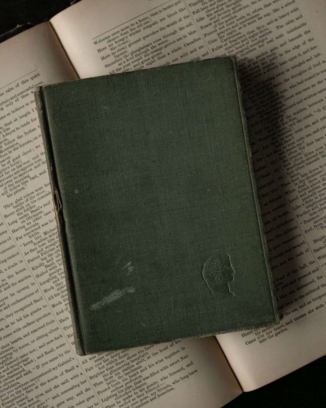 Stories in English Verse