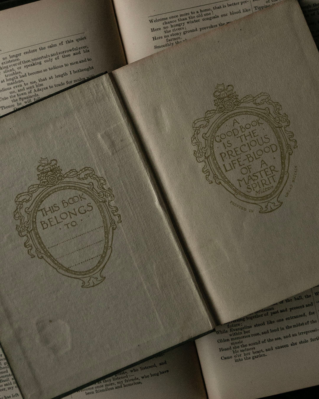 Stories in English Verse