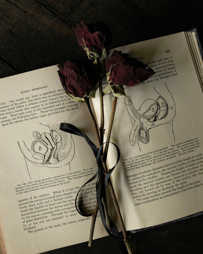Antique Human Physiology Book
