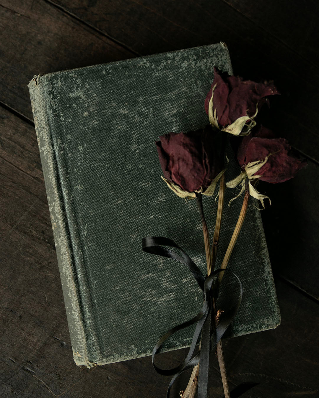Antique Human Physiology Book