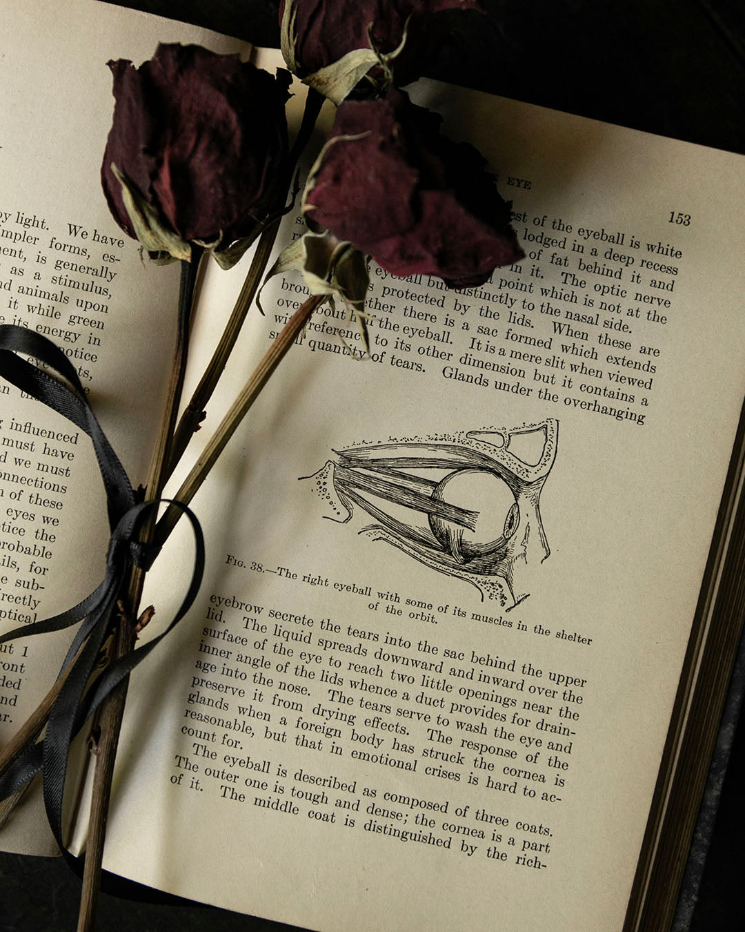 Antique Human Physiology Book