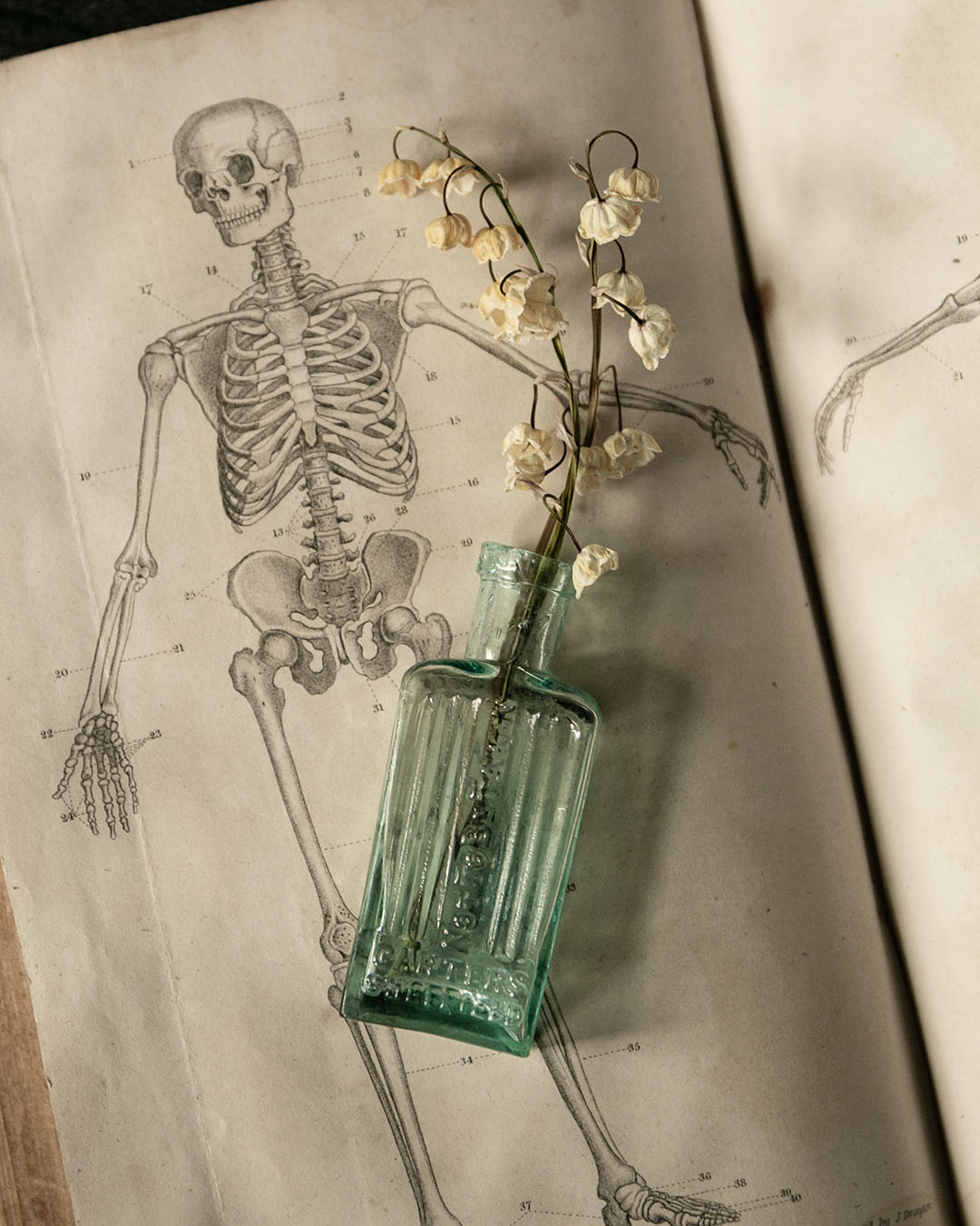 Antique Poison Bottle