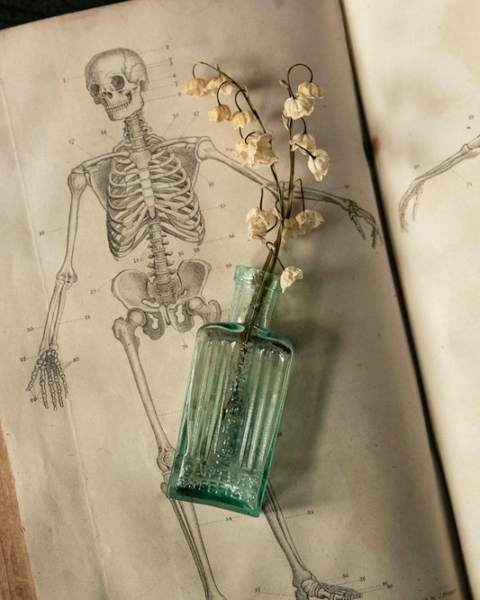 Antique Poison Bottle