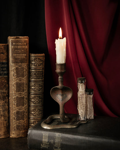 Snake Candle Holder