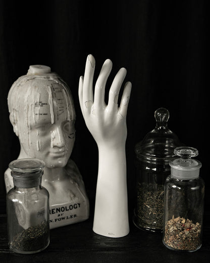 Vintage Mannequin Hand
