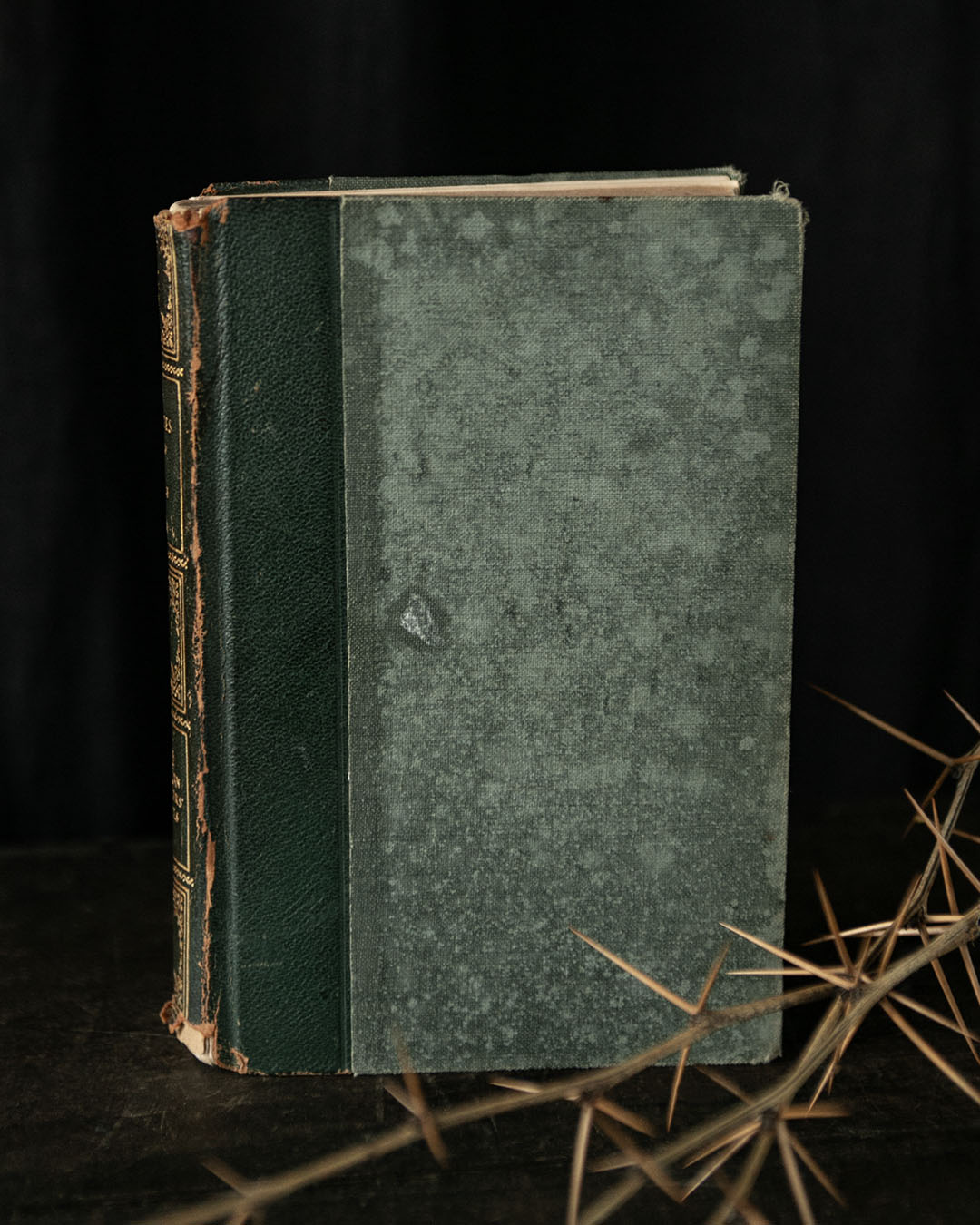 Antique Tales of Poe Book