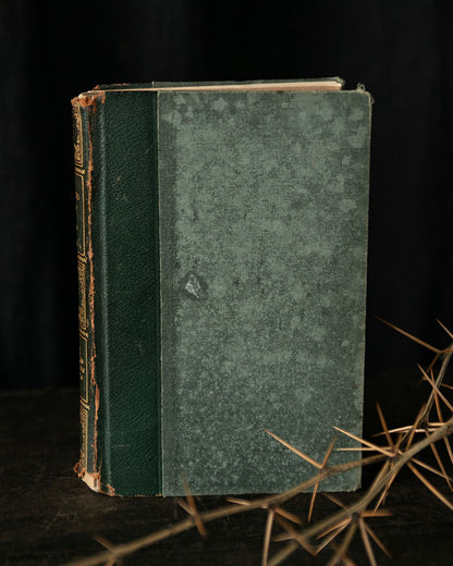 Antique Tales of Poe Book