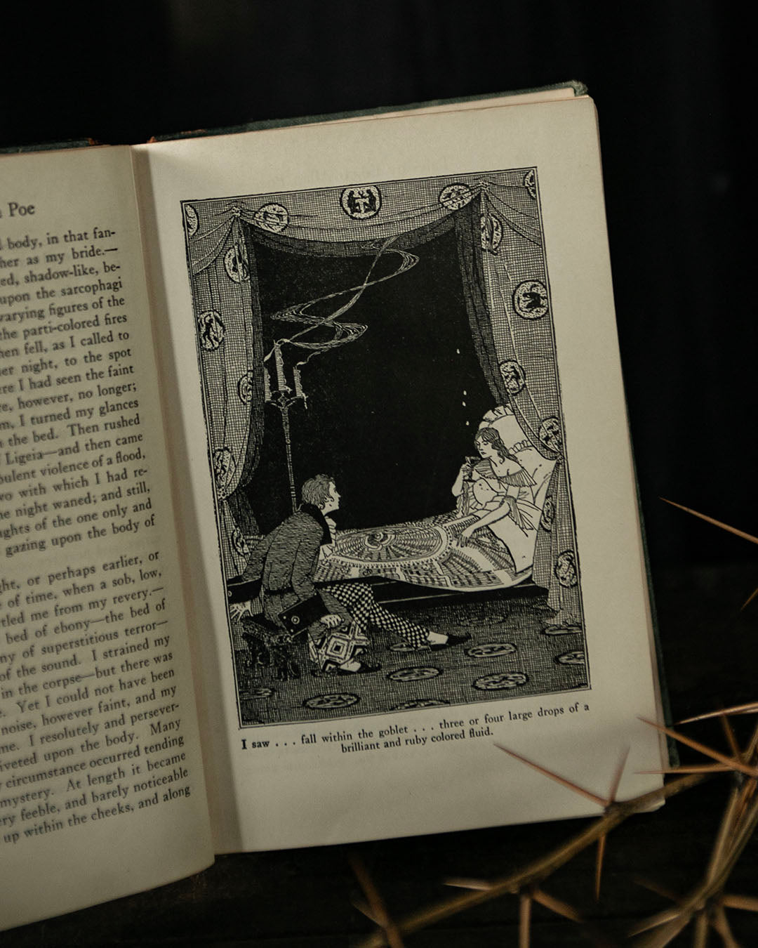 Antique Tales of Poe Book