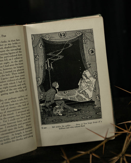 Antique Tales of Poe Book