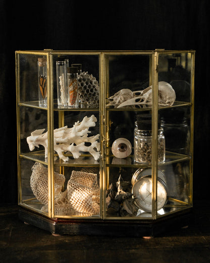 Brass & Glass Curio Cabinet