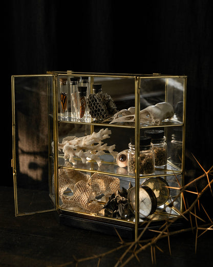 Brass & Glass Curio Cabinet