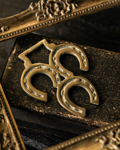 Lucky Horseshoe Horse Brass