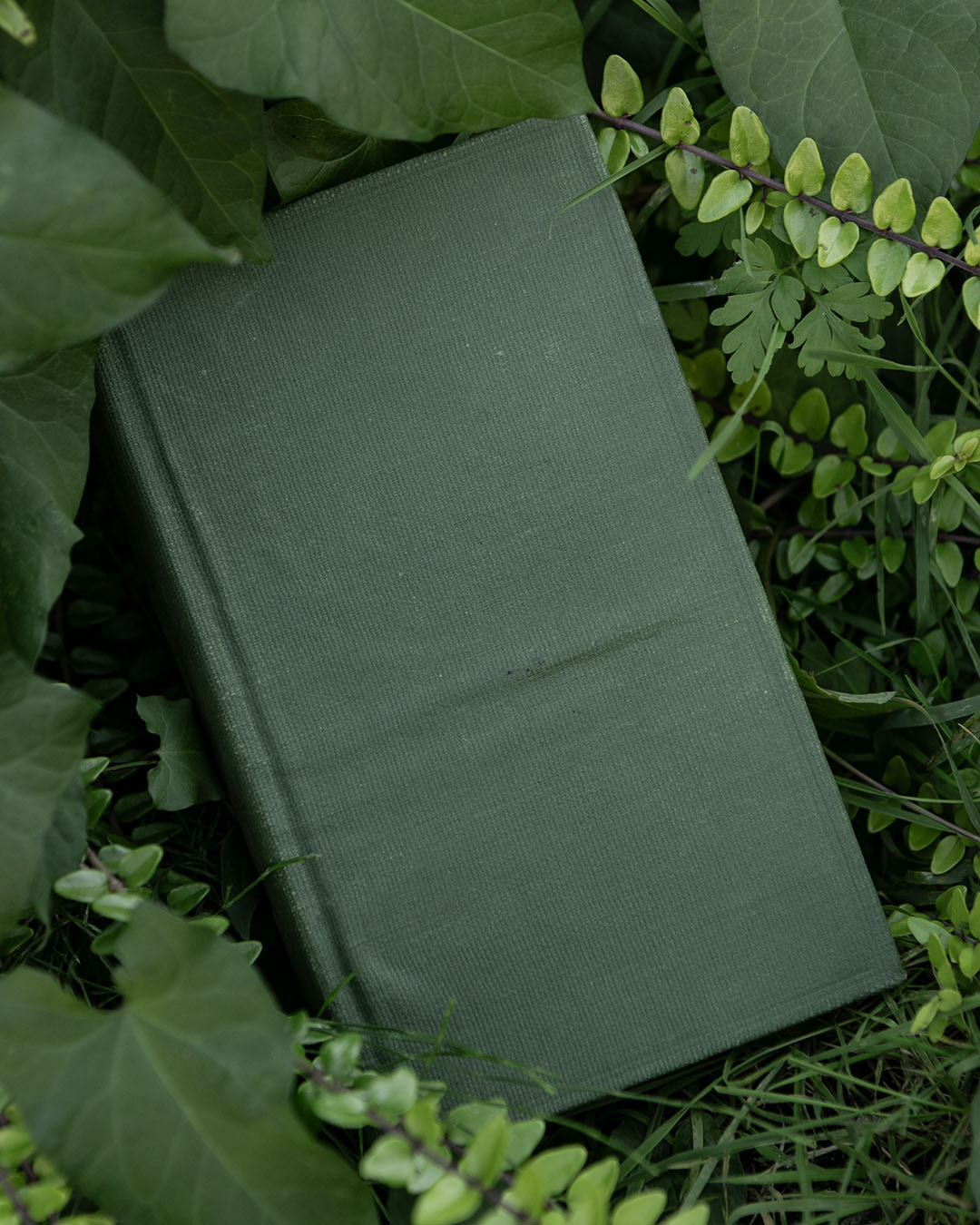 Vintage Gardening Book