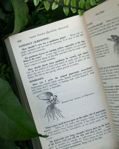 Vintage Gardening Book