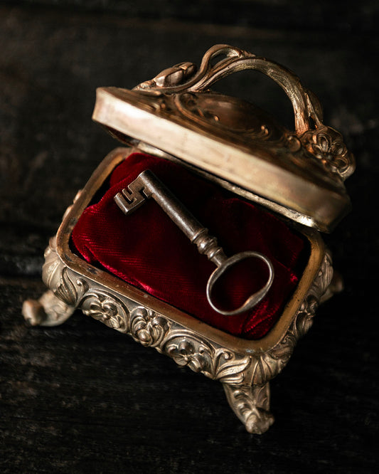 Antique Skeleton Key