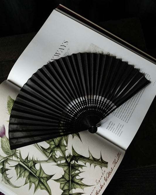 Antique Mourning Fan