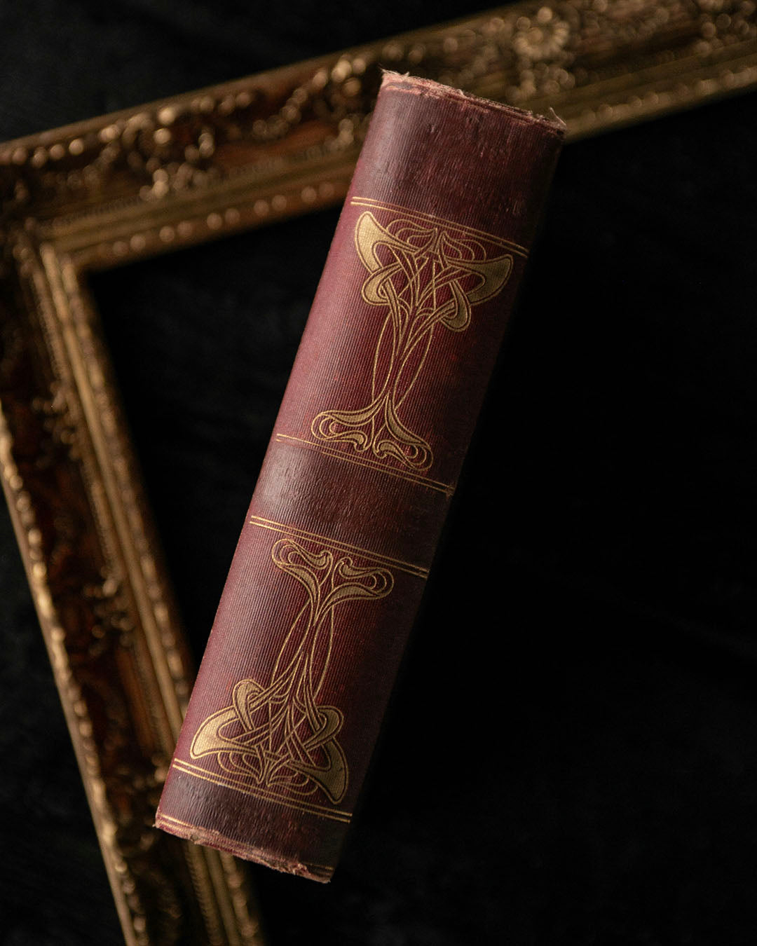 Old Curiosity Shop Book