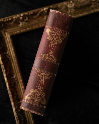 Old Curiosity Shop Book