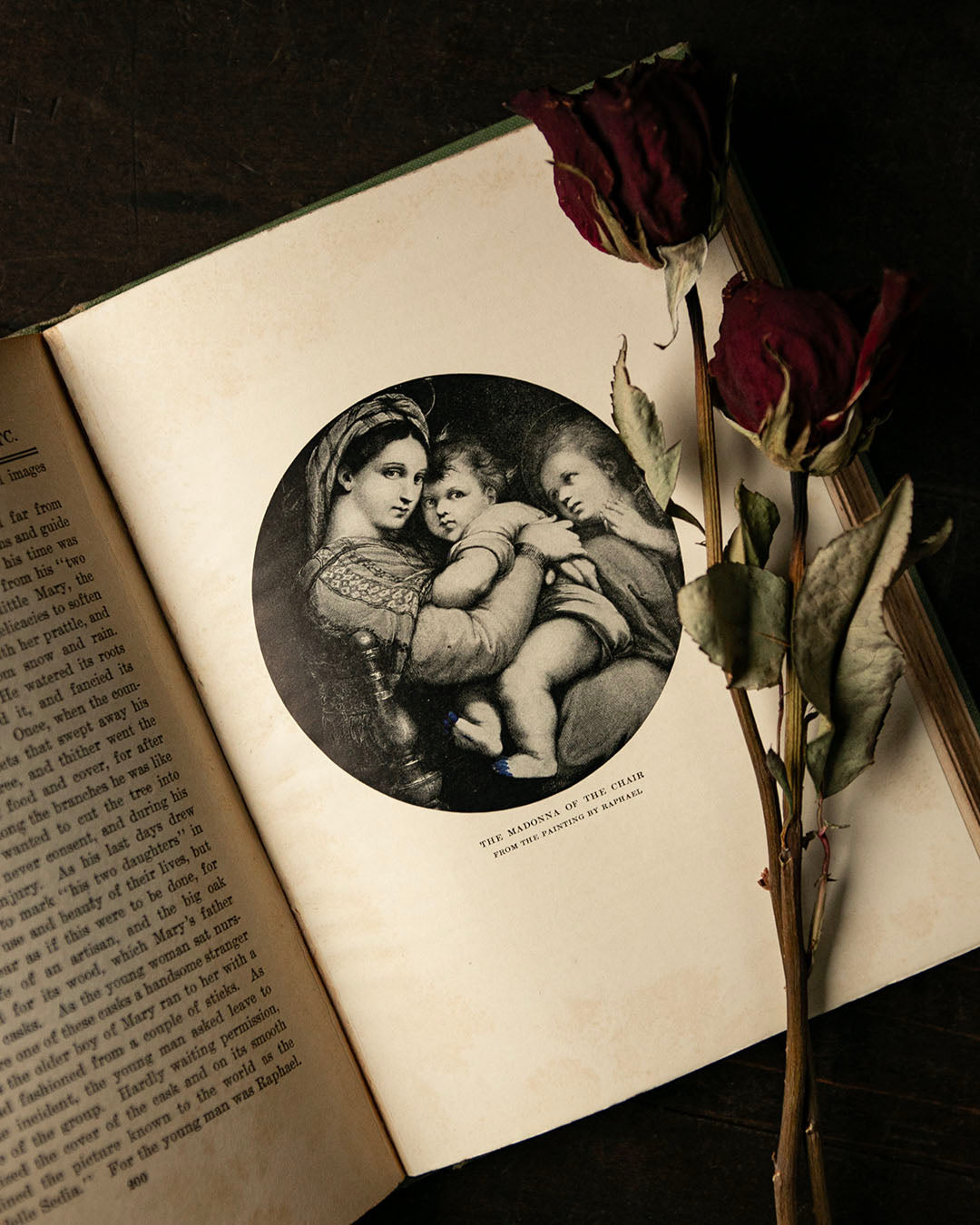 Myths and Legends of Flowers, Trees, Fruits and Plants Book