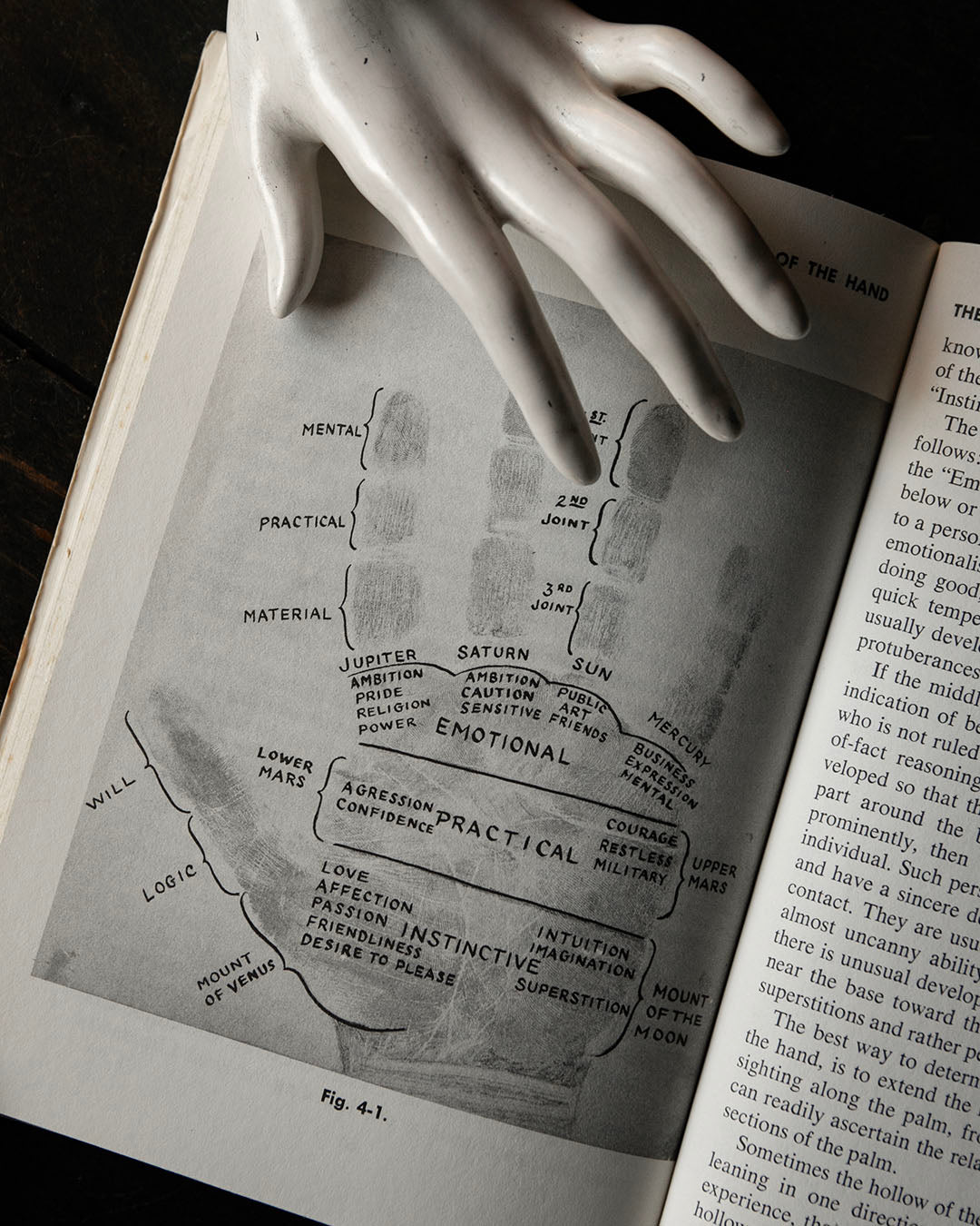 Vintage Hand Analysis Book